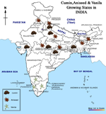 Cumin, Staranise, Vanila Growing states in India