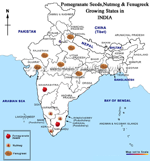 Pomegranate, Nutmeg,Fenugreek Growing states in India