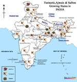 Turmeric, Saffron, Ajwain Growing states in India